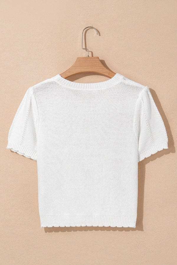 Openwork Round Neck Short Sleeve Knit Top - Trendsi - Flyclothing LLC
