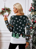 Graphic Round Neck Long Sleeve Sweater - Trendsi - Flyclothing LLC