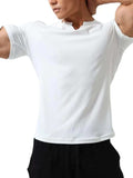 Men's Plus Size Notched Short Sleeve T-Shirt - Trendsi - Flyclothing LLC