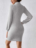 Turtleneck Long Sleeve Mini Dress - Trendsi - Flyclothing LLC