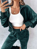 Zip Up Long Sleeve Cropped Top and Joggers Set - Trendsi - Flyclothing LLC