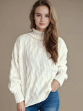 Cable-Knit Turtleneck Long Sleeve Sweater - Trendsi - Flyclothing LLC