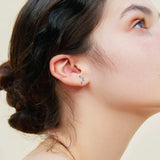 Moissanite 925 Sterling Silver Stud Earrings - Trendsi - Flyclothing LLC