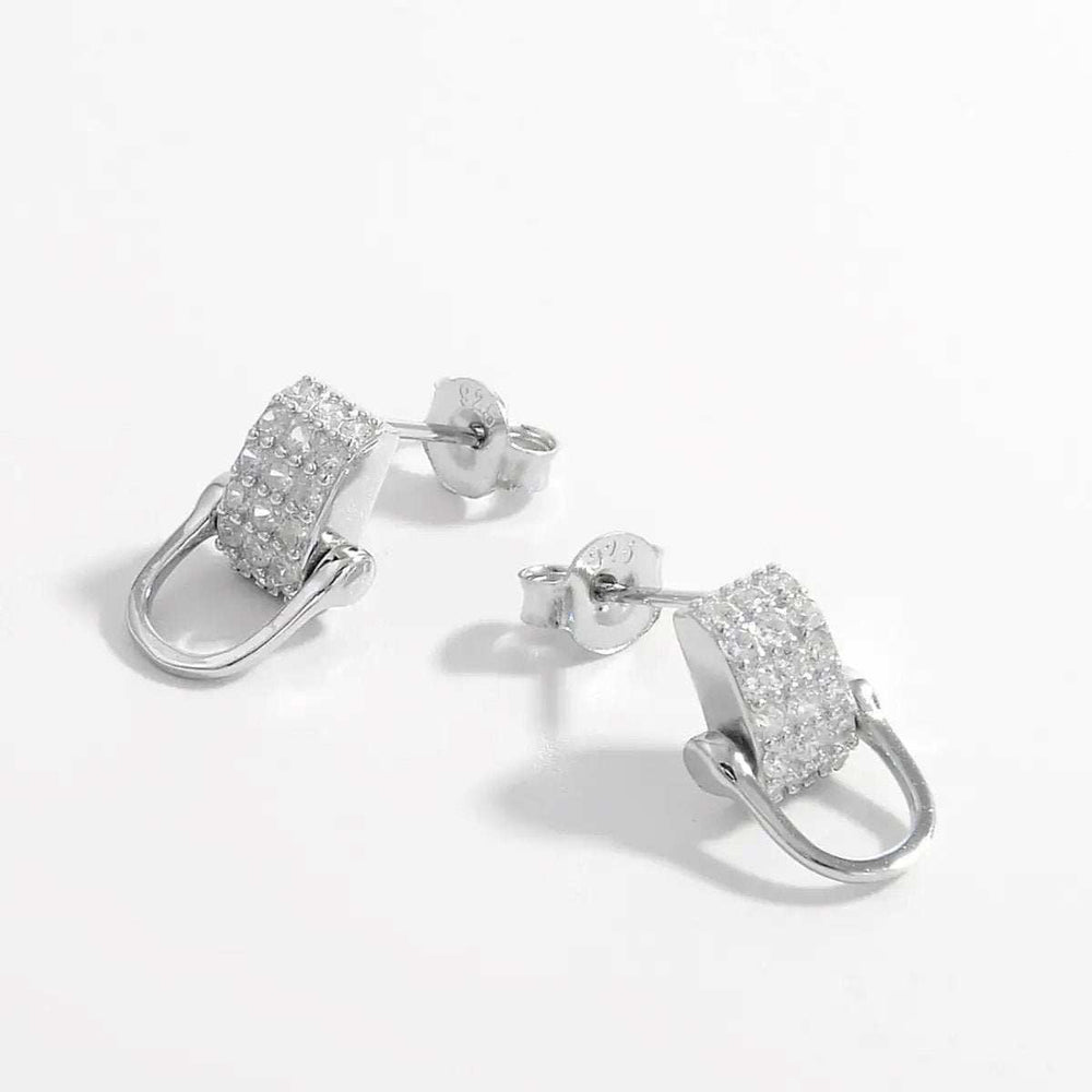 925 Sterling Silver Inlaid Zircon Earrings - Trendsi - Flyclothing LLC