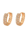 Inland Zircon Hoop Earrings - Trendsi - Flyclothing LLC