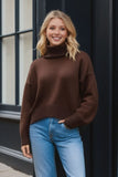 Basic Bae Turtleneck Dropped Shoulder Long Sleeve Sweater - ShopBasicbae - Flyclothing LLC