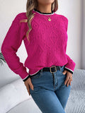 Contrast Trim Round Neck Long Sleeve Sweater - Trendsi - Flyclothing LLC
