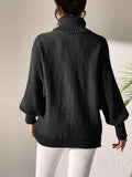 Turtleneck Long Sleeve Sweater - Trendsi - Flyclothing LLC