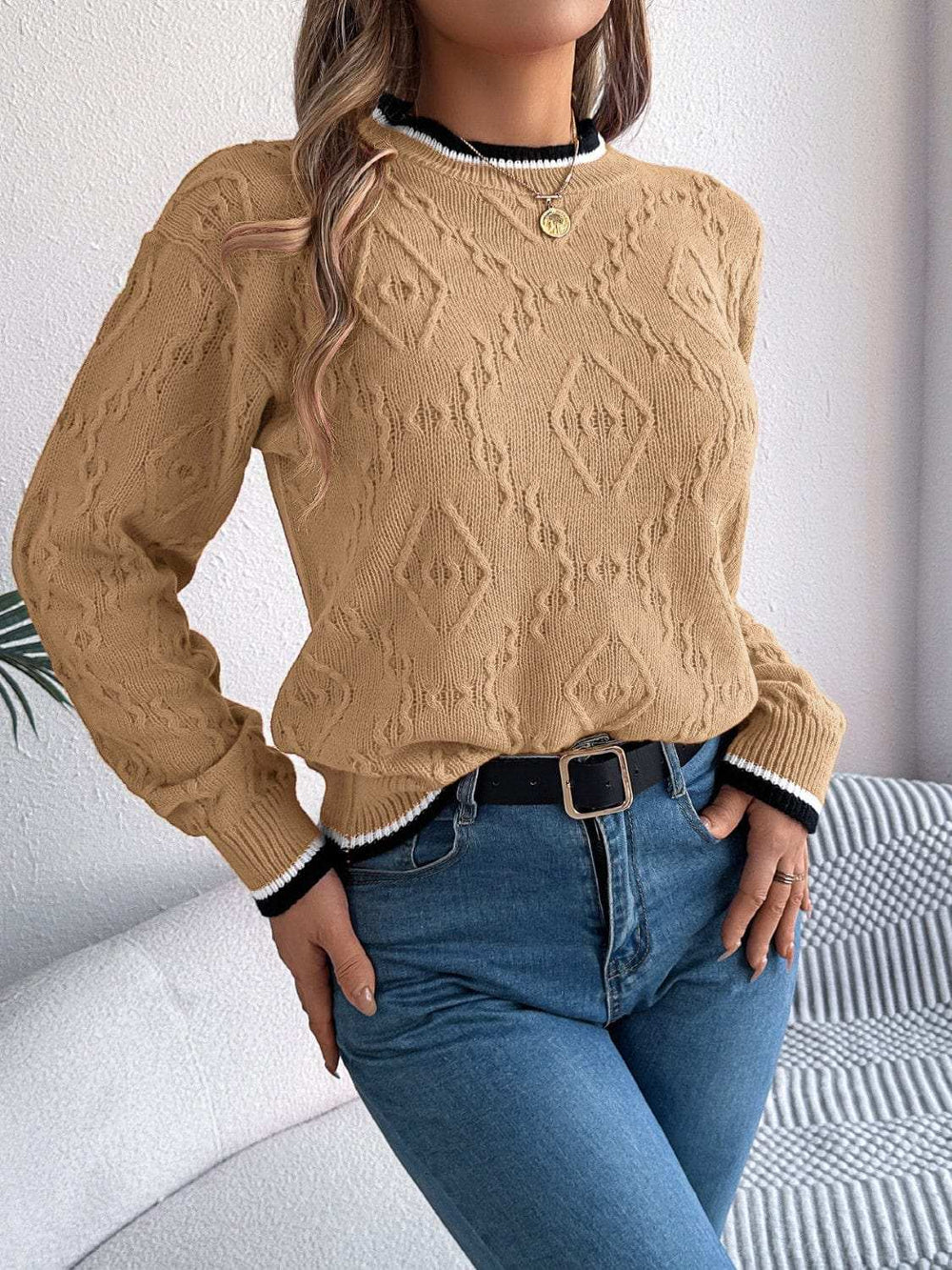 Contrast Trim Round Neck Long Sleeve Sweater - Trendsi - Flyclothing LLC