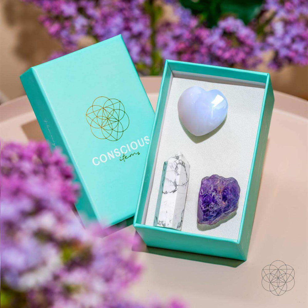 Focused Driver - Crystal Car Kit of Protection - Conscious Items - Flyclothing LLC