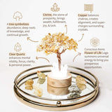 Golden Lamp of Wealth - Citrine Tree - Conscious Items - Flyclothing LLC