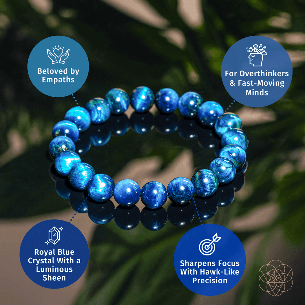 Hawk’s Focus – Royal Blue Tiger’s Eye Bracelet - Conscious Items - Flyclothing LLC