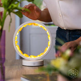 Infinite Abundance: Citrine Lamp of Manifestation - Conscious Items - Flyclothing LLC