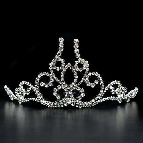 LO2112 - Imitation Rhodium Brass Tiaras & Hair Clip with Top Grade Crystal in Clear - Alamode - Flyclothing LLC