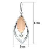 LO2684 - Rose Gold + Rhodium Iron Earrings with AAA Grade CZ in Clear - Alamode - Flyclothing LLC
