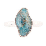 Luna Faceted Blue Apatite and Sterling Silver Hammered Ring - Barse Jewelry - Flyclothing LLC