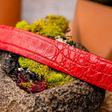 Riccardo Belt Light Red - Marco Di Milano - Flyclothing LLC