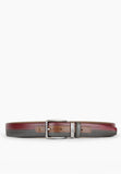 Princeton Belt Multicolor