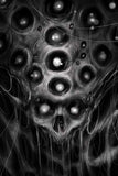 Black Market Art Company Alien SKull Print - Black Market Art Company - Flyclothing LLC