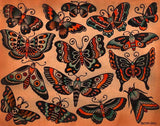 Black Market Art Company Butterflies & Moths Print - Black Market Art Company - Flyclothing LLC