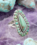 Sedona Blue Turquoise and Sterling Silver Statement Ring - Barse Jewelry - Flyclothing LLC