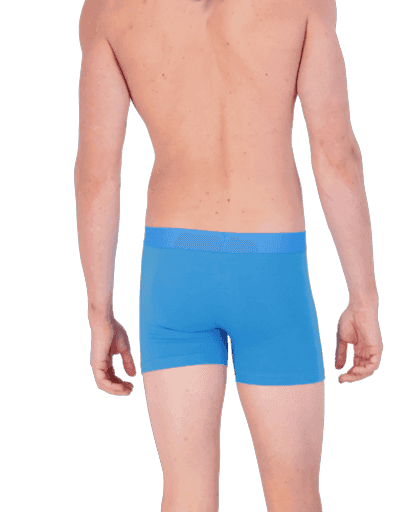 Wood Underwear swedish blue boxer brief w/fly - Wood Underwear - Flyclothing LLC