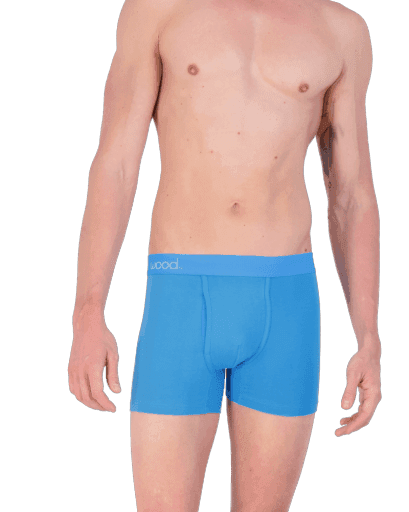 Wood Underwear swedish blue boxer brief w/fly - Wood Underwear - Flyclothing LLC