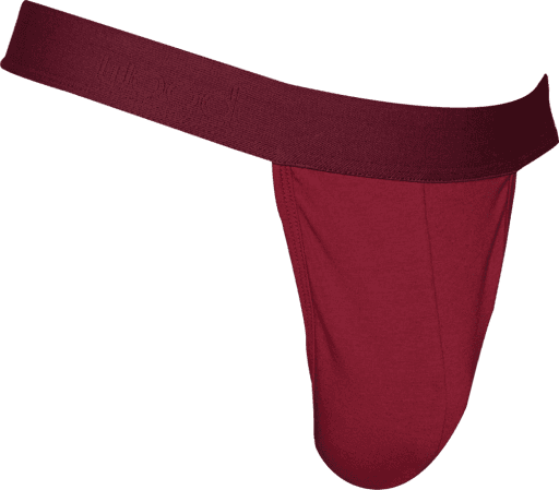 Wood Underwear burgundy red thong - Wood Underwear - Flyclothing LLC