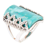Sluice Genuine turquoise Ring - Barse Jewelry - Flyclothing LLC