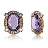 TK2571 - IP Coffee light Stainless Steel Earrings with AAA Grade CZ in Amethyst - Alamode - Flyclothing LLC