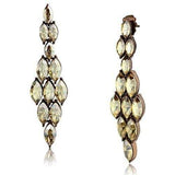TK2632 - IP Coffee light Stainless Steel Earrings with Top Grade Crystal in Champagne - Alamode - Flyclothing LLC