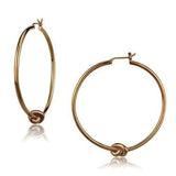 TK2853 - IP Coffee light Stainless Steel Earrings with No Stone - Alamode - Flyclothing LLC