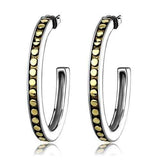 TK2891 - Two-Tone IP Gold (Ion Plating) Stainless Steel Earrings with Epoxy in Jet - Alamode - Flyclothing LLC