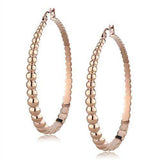 TK3068 - IP Rose Gold(Ion Plating) Stainless Steel Earrings with No Stone - Alamode - Flyclothing LLC