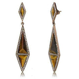 TK3071 - IP Coffee light Stainless Steel Earrings with Synthetic Tiger Eye in Topaz - Alamode - Flyclothing LLC
