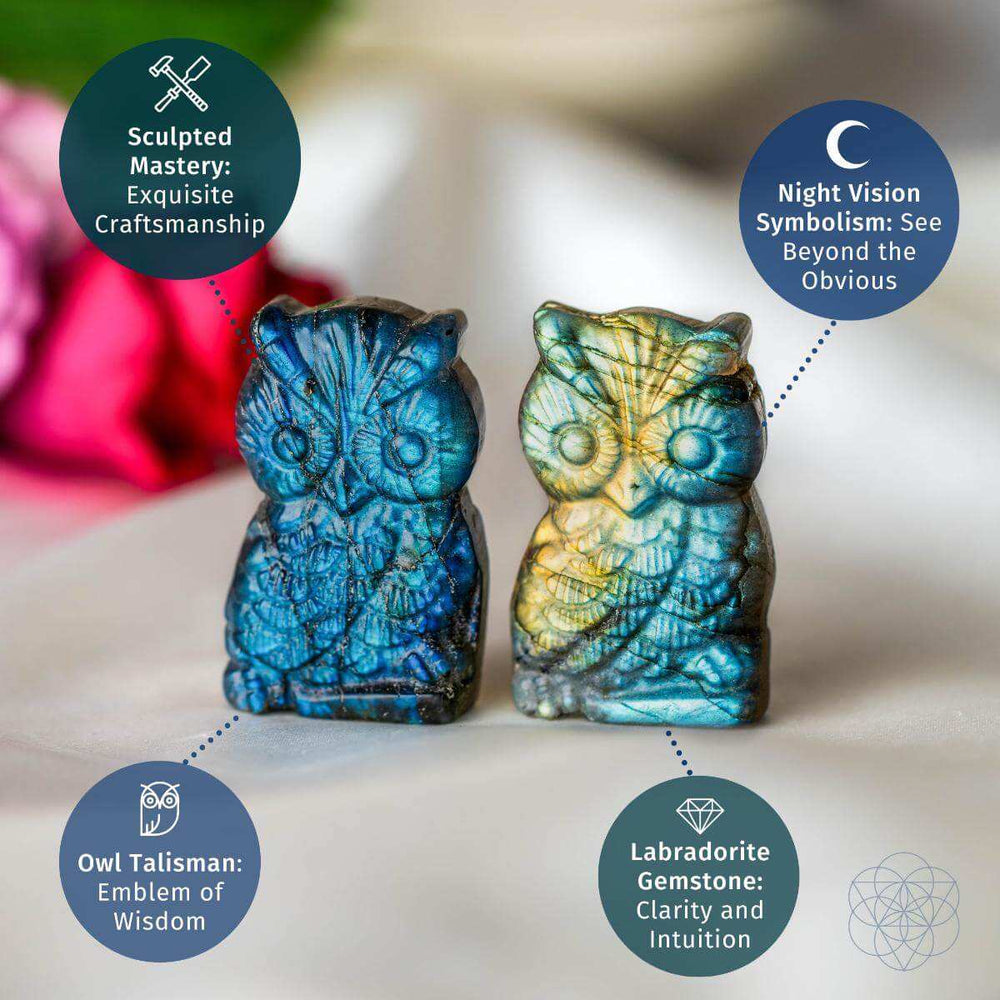 Token of Wisdom - Labradorite Owl Talisman - Conscious Items - Flyclothing LLC