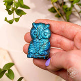 Token of Wisdom - Labradorite Owl Talisman - Conscious Items - Flyclothing LLC