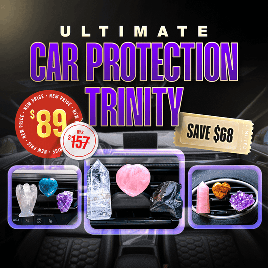 Ultimate Car Protection Trinity - Conscious Items - Flyclothing LLC