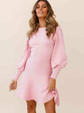 Round Neck Lantern Sleeve Sweater Dress - Trendsi - Flyclothing LLC