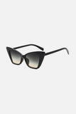 Acetate Lens Cat Eye Sunglasses - Trendsi - Flyclothing LLC
