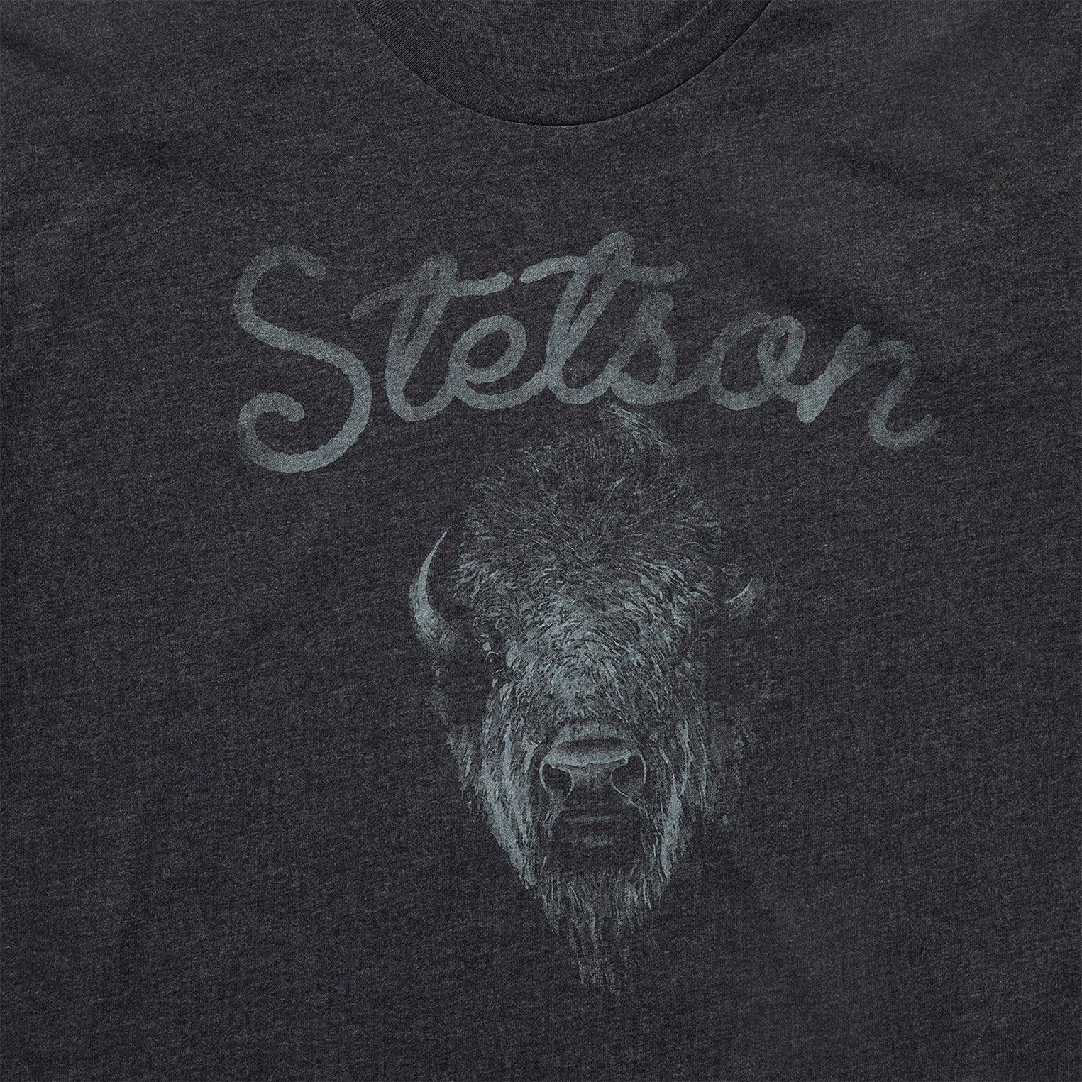 Stetson Bison Spirit Graphic Tee