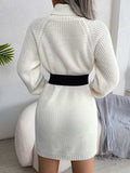 Decorative Button Turtleneck Sweater Dress - Trendsi - Flyclothing LLC