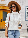 Turtle Neck Cable-Knit Sweater - Trendsi - Flyclothing LLC