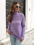 Turtleneck Raglan Sleeve Sweater - Trendsi - Flyclothing LLC