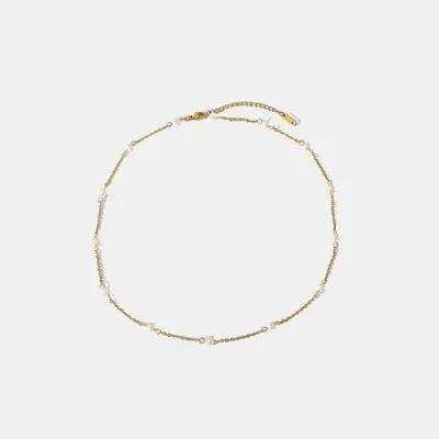 Freshwater Pearl 18K Gold-Plated Necklace - Trendsi - Flyclothing LLC