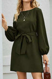 Tied Boat Neck Balloon Sleeve Mini Dress - Trendsi - Flyclothing LLC