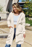 Double Take Full Size Open Front Long Sleeve Hooded Coat - Trendsi - Flyclothing LLC