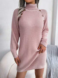 Decorative Button Turtleneck Sweater Dress - Trendsi - Flyclothing LLC