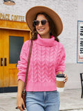 Turtle Neck Cable-Knit Sweater - Trendsi - Flyclothing LLC
