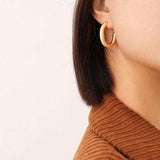 Titanium Steel Gold-Plated Earrings - Trendsi - Flyclothing LLC